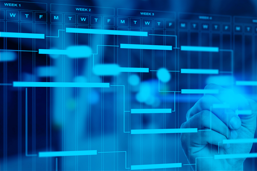 Intreped Partners Program Management